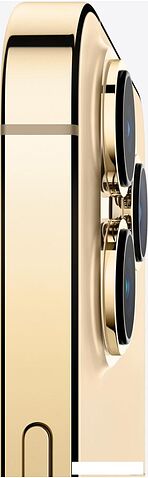 Смартфон Apple iPhone 13 Pro Max 256GB Восстановленный by Breezy, грейд A (золотистый)