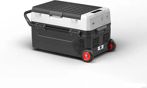 Компрессорный автохолодильник Filymore J60 60л (черный)