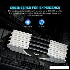 Оперативная память Acer Predator Talos 16ГБ DDR4 3200 МГц BL.9BWWR.212 Оперативная память Acer Predator Talos 16ГБ DDR4 3200 МГц BL.9BWWR.212