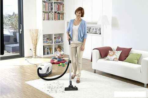 Пылесос Karcher DS 6 Premium Plus 1.195-242.0