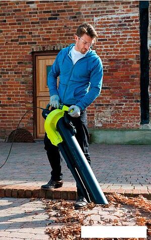 Воздуходувка Ryobi RBV3000CESV