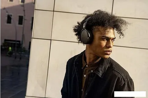 Наушники Sennheiser HD 350BT (черный)