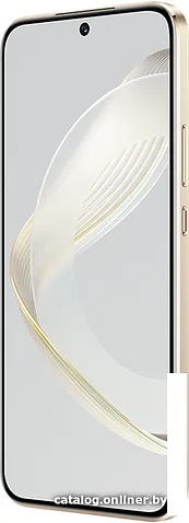 Смартфон Huawei nova 11 FOA-LX9 8GB/256GB (золотистый)