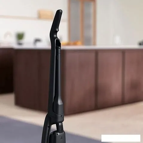 Пылесос Electrolux Well Q6 WQ61-42GG