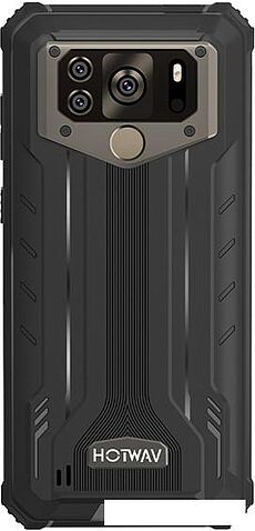 Смартфон Hotwav W10 Pro 6GB/64GB (серый)