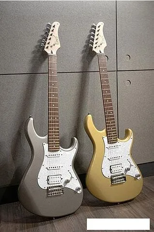 Электрогитара Cort G250 SVM