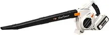 Воздуходувка Daewoo Power DABL 6040Li Воздуходувка Daewoo Power DABL 6040Li