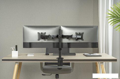 Кронштейн ErgoSmart Twin II