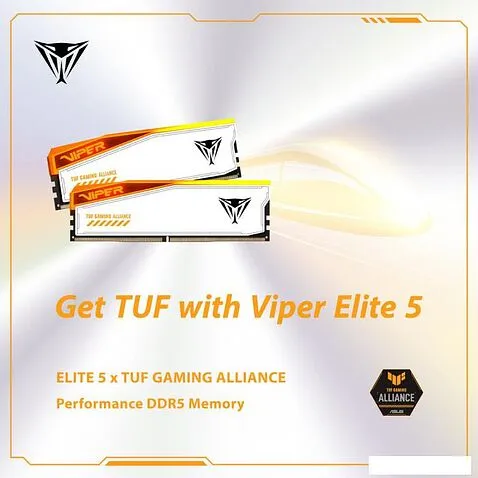 Оперативная память Patriot Viper Elite 5 RGB TUF Gaming Alliance 2x24ГБ DDR5 6600 МГц PVER548G66C34KT
