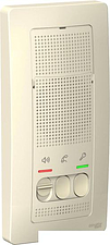 Абонентская панель Schneider Electric Blanca BLNDA000012