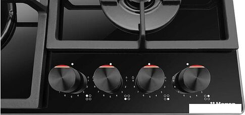 Варочная панель Hansa BHKS630540