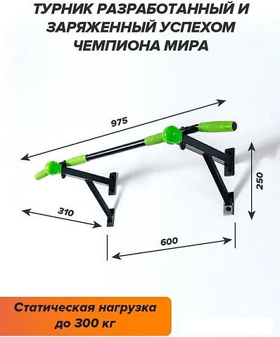 Турник Absolute Champion Aktiv Maх (черный/салатовый)