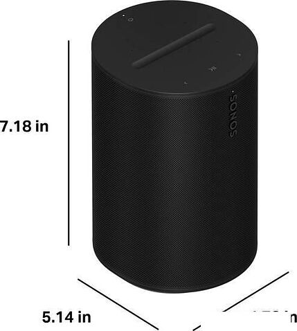 Беспроводная аудиосистема Sonos Era 100 (черный)