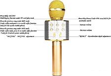 Микрофон Wster WS-858 (золотистый)