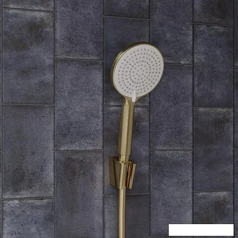 Душевая лейка IDDIS Optima Home OPH3FMGi18