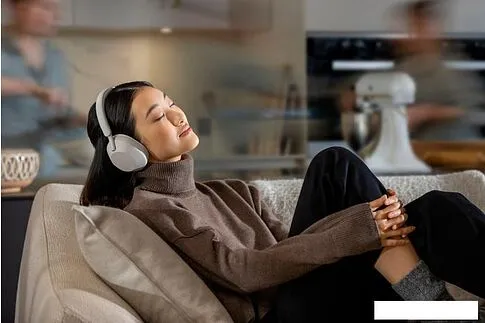 Наушники Sony WH-1000XM5 (серый)