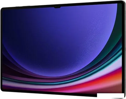 Планшет Samsung Galaxy Tab S9 Ultra Wi-Fi SM-X910 12GB/256GB (графитовый)