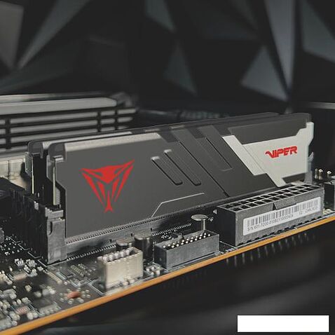 Оперативная память Patriot Viper Venom 2x16ГБ DDR5 6000МГц PVV532G600C36K