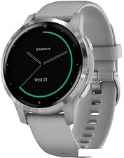 Умные часы Garmin Vivoactive 4s (серый/серебристый)