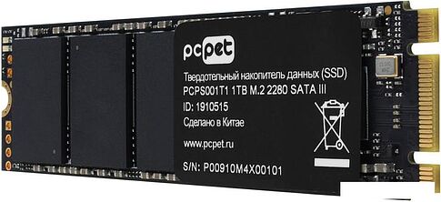SSD PC Pet 1TB PCPS001T1