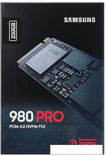 SSD Samsung 980 Pro 250GB MZ-V8P250BW