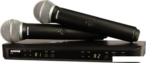 Радиосистема Shure BLX288E/PG58 M17