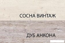 Тумба Anrex Monako RTV 1D2SN (сосна винтаж/дуб анкона)