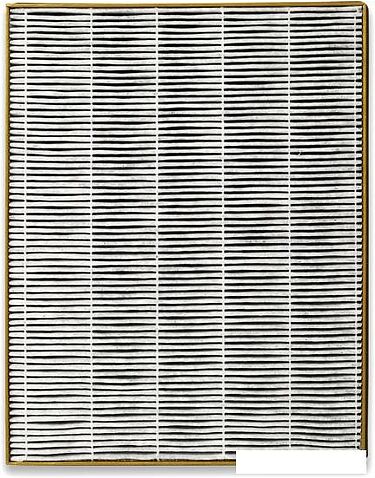 Очиститель воздуха Toshiba CAF-X50XPL