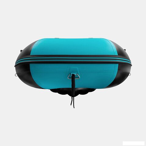 Моторно-гребная лодка Gladiator E450PRO (черный/бирюзовый)