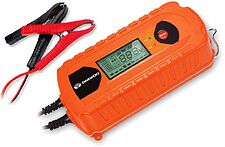 Зарядное устройство Daewoo DW800 Зарядное устройство Daewoo DW800