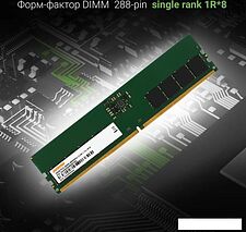 Оперативная память Digma 16ГБ DDR5 4800 МГц DGMAD54800016S Оперативная память Digma 16ГБ DDR5 4800 МГц DGMAD54800016S