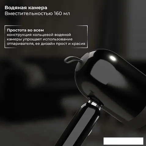 Отпариватель SATE AT-100 (черный)