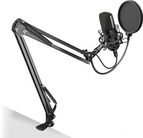 Микрофон SunWind SW-SM400G