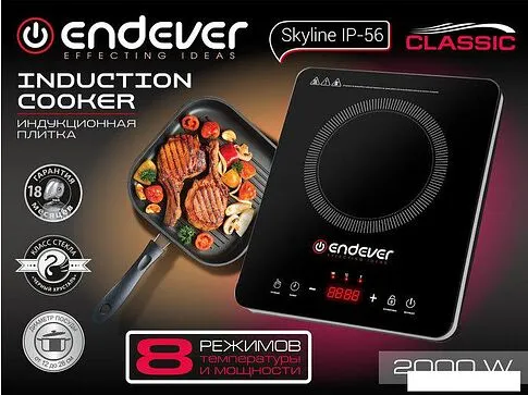 Настольная плита Endever Skyline IP-56
