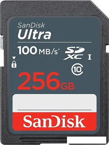 Карта памяти SanDisk Ultra SDXC SDSDUNR-256G-GN3IN 256GB