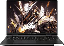 Игровой ноутбук Maibenben X-Treme Tsunami X16F-R98957T0JGRLG4E10