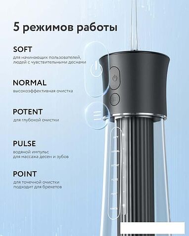 Ирригатор  Fairywill F30 (черный)