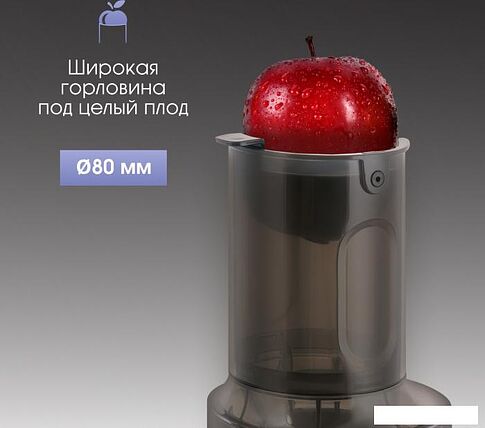 Соковыжималка Zigmund & Shtain ESJ-771