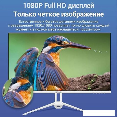 Монитор Sanc N500 III M2453 (белый)