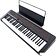 Цифровое пианино Casio CT-S1 (черный)