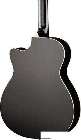 Акустическая гитара Naranda DG220CBK