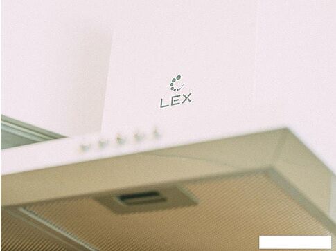 Кухонная вытяжка LEX Basic 600 (белый)