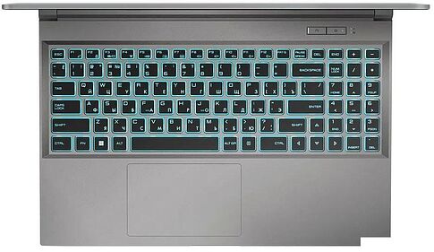 Игровой ноутбук Maibenben X565 X565FSFAHGRE0