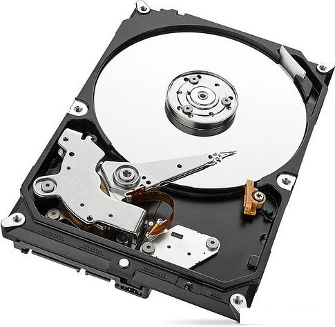 Жесткий диск Seagate Skyhawk 1TB [ST1000VX005]