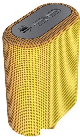 Беспроводная колонка Canyon CNE-CBTSP4Y