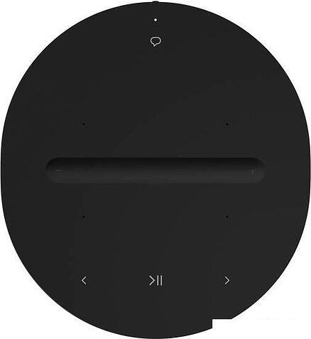 Беспроводная аудиосистема Sonos Era 100 (черный)