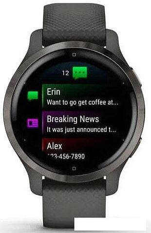 Умные часы Garmin Venu 2S (сланцевая нержавеющая сталь/черный)