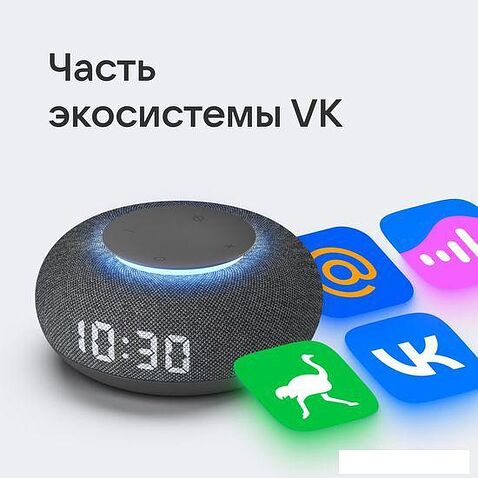 Умная колонка VK Капсула Мини (темно-серый)