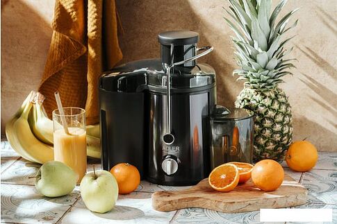 Соковыжималка Adler AD 4132