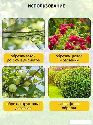 Секатор Pioneer Tools BP-20V20BL-01 (с 1-им АКБ, кейс)
